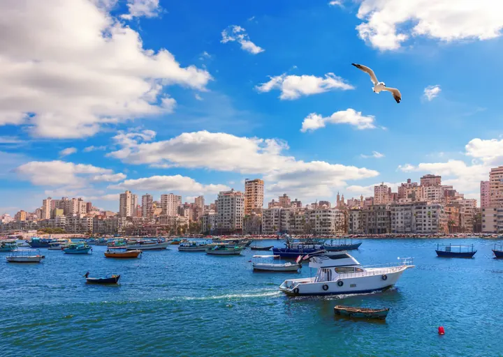 Alexandria